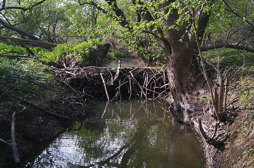 Vodozádržné práce - hlavný obraz